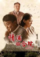 情满四合院电视剧全集高清完整版免费在线观看