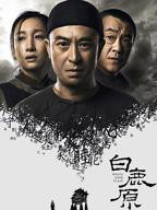 《白鹿原2017》电视剧免费全集在线观看国语完整版