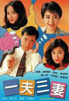 一夫三妻粤语 在线观看完整版不卡